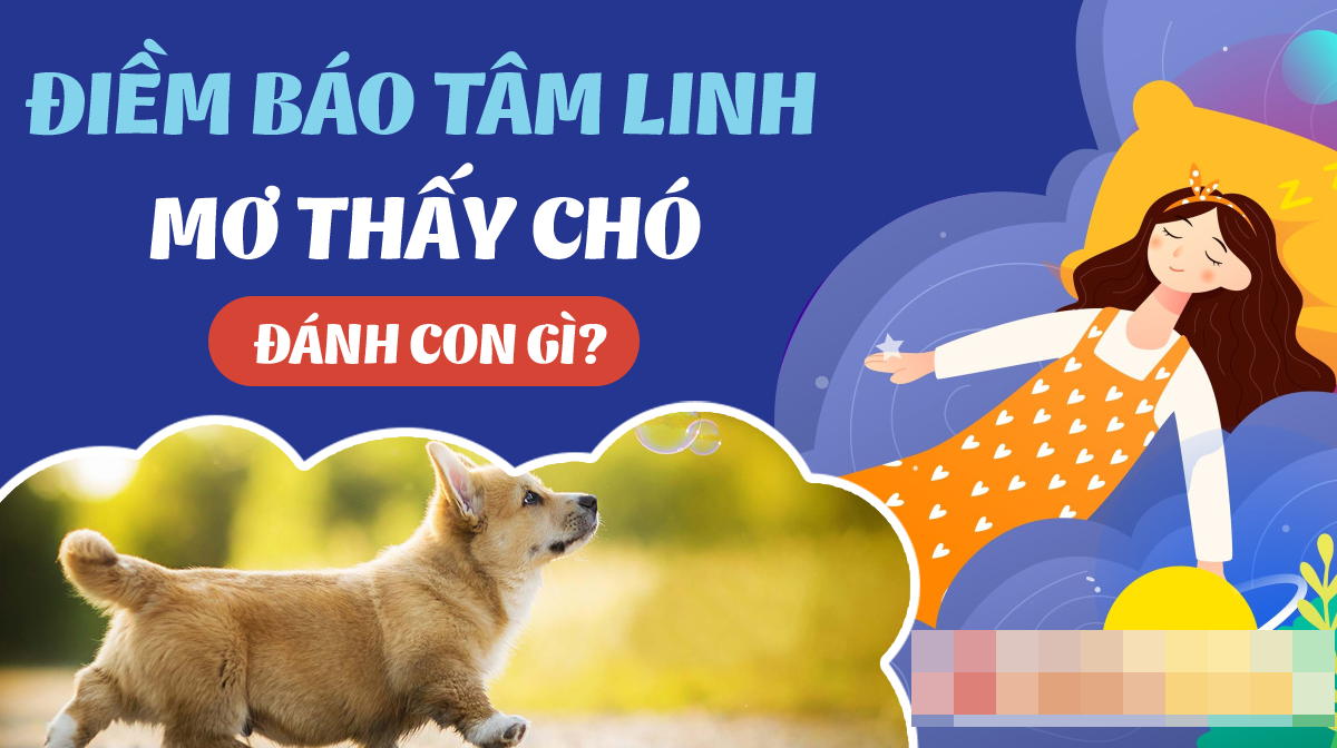 Thứ 6 đánh con gì dựa theo giấc mơ