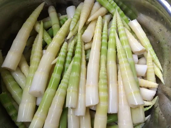 หน่อไม้ใยอาหารสูง ตัวช่วยลดน้ำหนักชั้นเลิศ แต่ 9 กลุ่มนี้ต้องระวังในการกิน