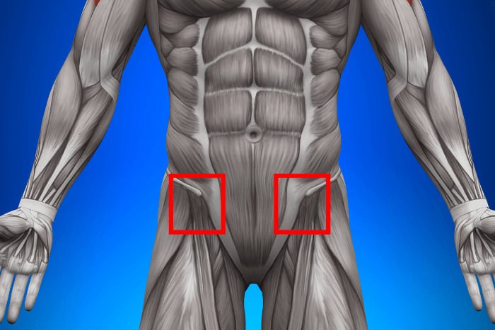 ทำอย่างไรดีเมื่ออาการเจ็บกล้ามเนื้อหน้าขา (Hip Flexors) ลามไปถึงปวดหลังส่วนล่าง? การยืดคลายร่วมกับการเสริมสร้างกล้ามเนื้อคือทางออกที่ดีที่สุด